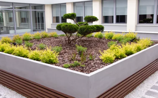 Patio_zielona_przestrzen_dla_studentow