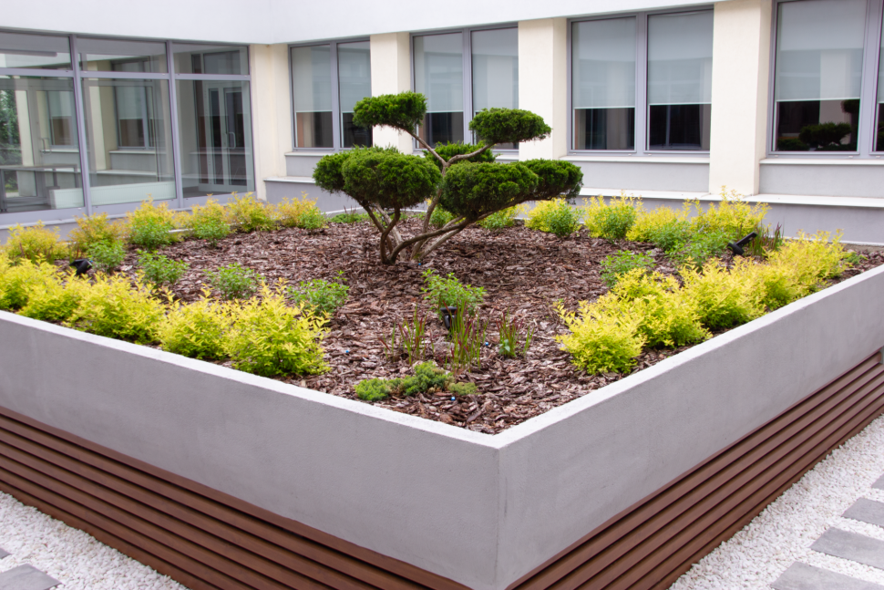 Patio_zielona_przestrzen_dla_studentow