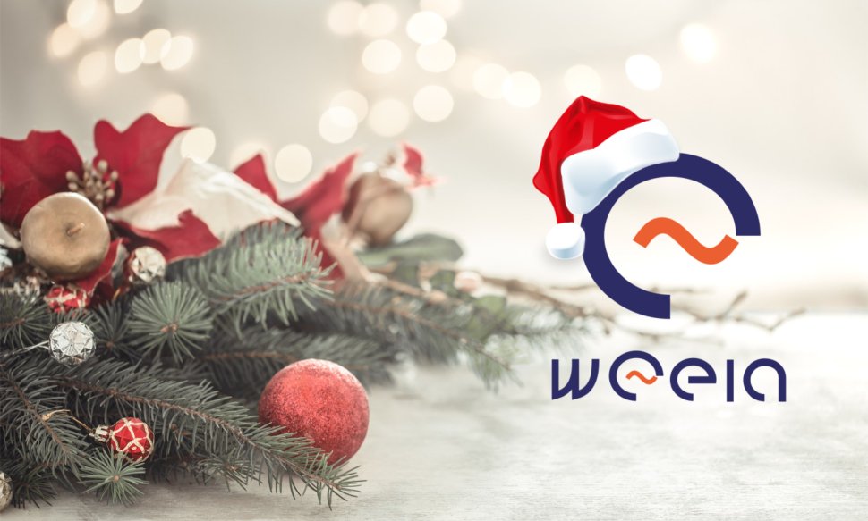 Zyczenia Świąteczne_logo weeia w czapce mikołaja