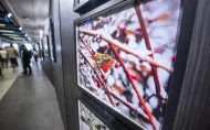 Galeria Pod Napięciem. Fotografia rudzika wśród gałęzi pokrytych śniegiem oprawiona w czarną ramę i wyeksponowana na ciemnym tle.